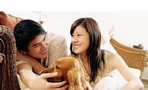 丁克家族 丁克家族