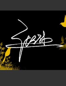 連筆簽名 連筆簽名