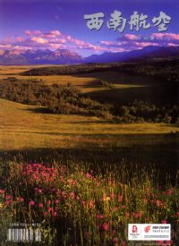 《西南航空》