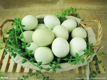 綠殼蛋