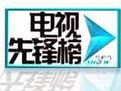 電視先鋒榜 電視先鋒榜