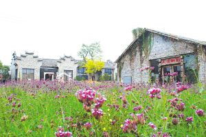 錦林佛手文化園 錦林佛手文化園