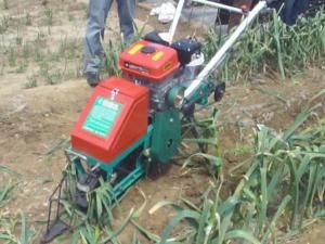 大蒜半機械化收穫機