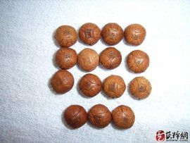 麒麟眼菩提 麒麟眼菩提