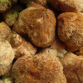 猴頭菇燒藤梨根