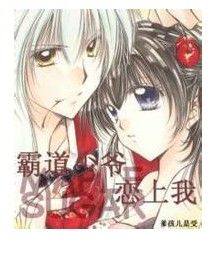 《霸道少爺戀上我》