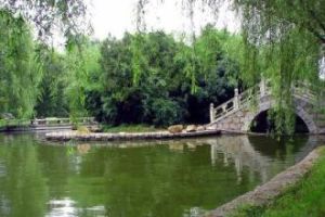 潁上迪溝生態旅遊風景區 潁上迪溝生態旅遊風景區