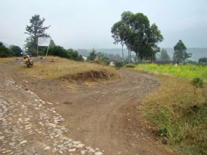 雜木林村 雜木林村