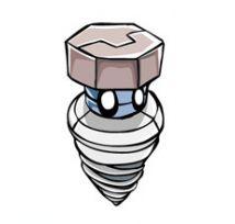 雙子貝塔星 雙子貝塔星