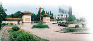 南京林業大學