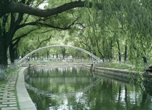 佳木斯杏林湖公園 佳木斯杏林湖公園