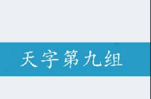 天字第九組 天字第九組