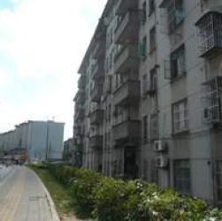 柴機新村 柴機新村