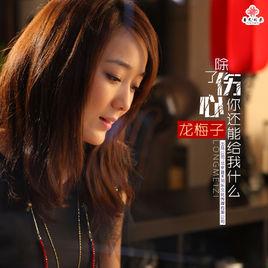 除了傷心你還能給我什麼 除了傷心你還能給我什麼