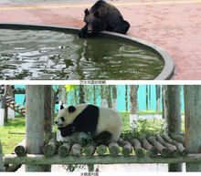 西霞口野生動物園