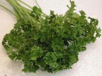 西芫菜 西芫菜