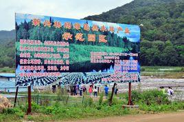 新興林場 新興林場