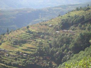 坪箐自然村 坪箐自然村