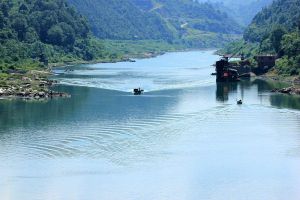 清水生物 清水生物