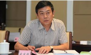 武建強[雲南銅業股份有限公司董事長]