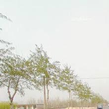 彭家莊鄉 彭家莊鄉