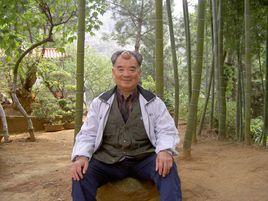 王安平[安徽省武術家，養生家]