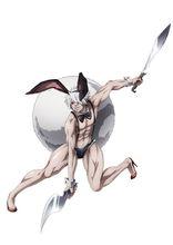 十二大戰[Graphinica改編的電視動畫]