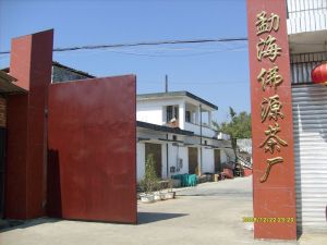 勐海佛源茶廠