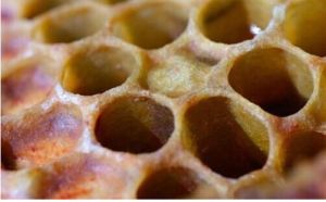 小孔恐懼症 小孔恐懼症