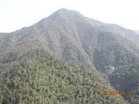 仙溪鎮[浙江樂清市仙溪鎮]