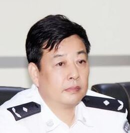 王平[河南省周口市副市長、公安局局長]