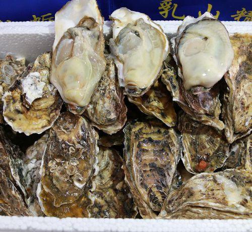 北海生蚝