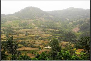 清遠柏嘉觀光果園 清遠柏嘉觀光果園