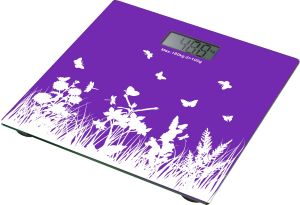 人體健康秤 人體健康秤