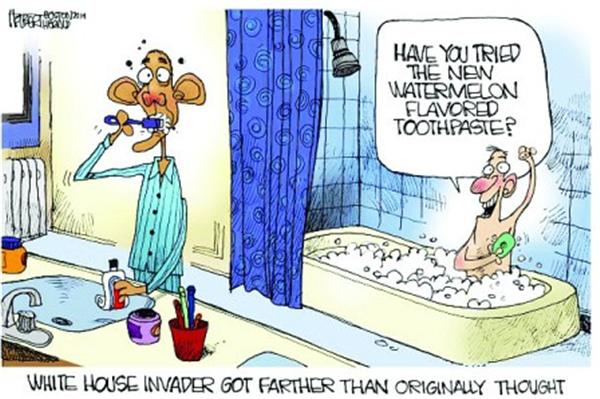 資料圖：2014年《波士頓先驅報》刊登的帶有西瓜味牙膏的漫畫