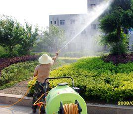 清潔服務 清潔服務