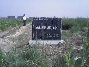 姚莊遺址 姚莊遺址