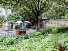 同德花園同雅街實景圖