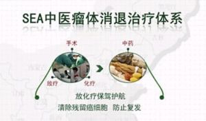 SEA中醫瘤體消退治療體系