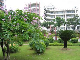 廣州市第八十七中學 廣州市第八十七中學