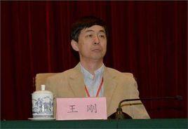 王剛[國台辦協調局局長]