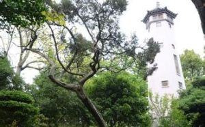 金螯山公園 金螯山公園