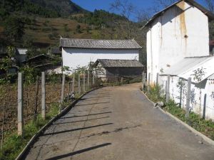 波羅吾村 波羅吾村