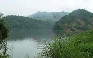 小坑國家森林公園