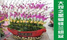 廣州大觀農業科技有限公司