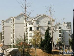 市公安局治安處家屬院 市公安局治安處家屬院