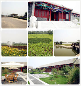 昌平蘋果主題公園 昌平蘋果主題公園