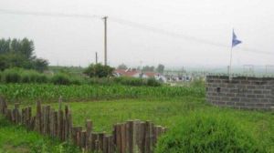 征途真人CS 征途真人CS