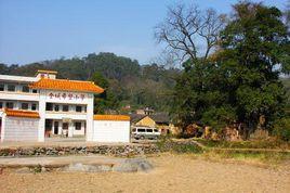 沈家村[吉林省農安縣華家鎮沈家村]