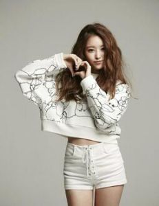 宋智恩[韓國歌手，Secret成員]